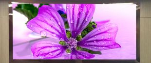 連鎖火鍋店老板哭訴：門頭LED廣告機讓我多賺了110萬，但千萬別學(xué)我踩這3個坑！”